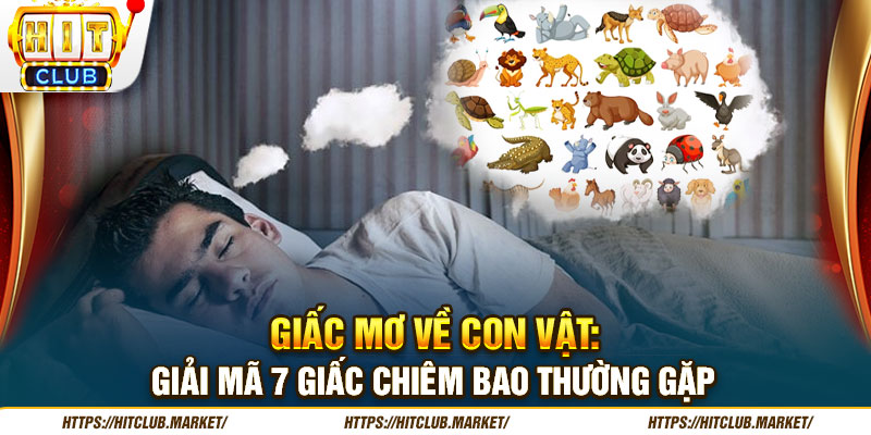 Giấc Mơ Về Con Vật - Giải Mã 7 Giấc Chiêm Bao Thường Gặp